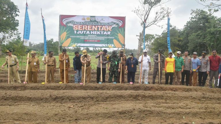 PJ Bupati Sarolangun Bahri Bersama Forkopimda Lakukan Penanaman Jagung Serentak 1 Juta Hektar 