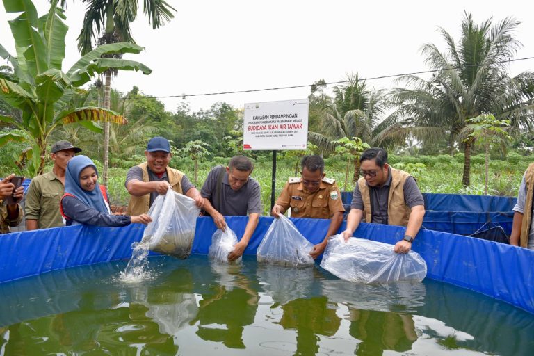Lebih Dekat dengan Hulu Migas: Dari Kesiapsiagaan Tanggap Darurat hingga Budidaya Ikan di Kasang Lopak Alai